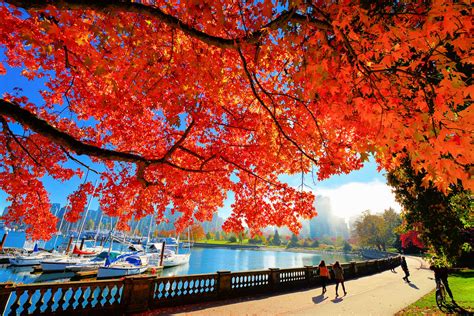 Autumn Stanley Park Vancouver Pbakker22 Flickr