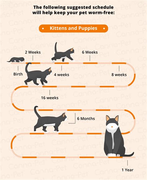 Worming Schedules For Cats And Dogs Canna Pet