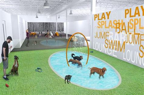 We are not affiliated with or sponsored by these websites. Toronto's First Upscale Dog Resort Opens To Wagging ...