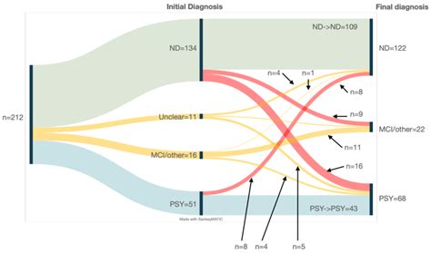 Sankey Diagram Of Diagnostic Journey Download Scientific Diagram