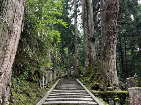 Koyasan Travel Guide Complete Guide To Visiting Koyasan Japan