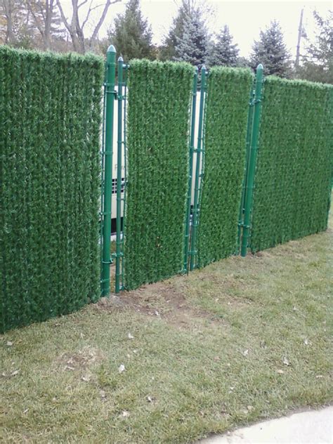 Evergreen Permahedge Chain Link Fence Enclosure Installed At St Edward