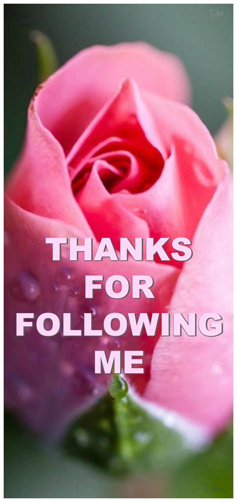 Thanks For Following Me 💗 Tam 💗 Thankful Have A Blessed Day Follow Me