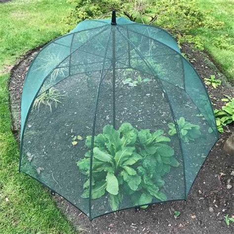 Gardenskill Pop N Crop Plant Umbrella Dia 100cm X H75cm Free Uk