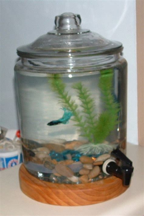 A Unique Idea Diy Fish Tank Pet Fish Betta Tank