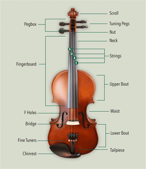Lista 96 Foto Partes De Un Arco De Violin Mirada Tensa