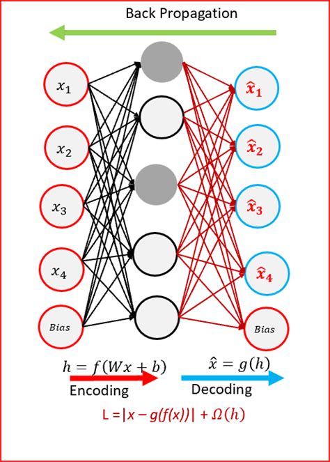 Deep Learning — Different Types Of Autoencoders By Renu Khandelwal