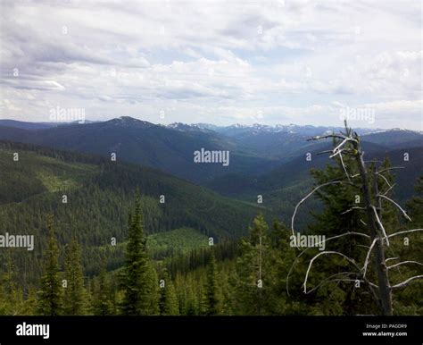 A Scene From The Idaho Panhandle National Forest Stock Photo Alamy
