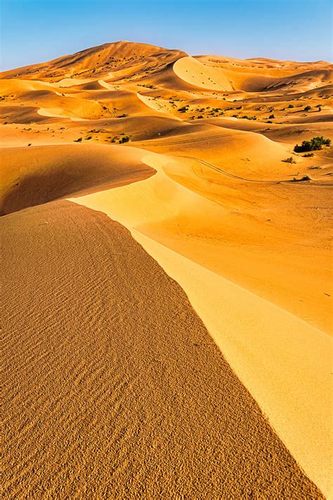 Curving Sand Dune Ridges Morocco Photograph By Stuart Litoff Pixels
