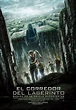 Cartel de la película El corredor del laberinto - Foto 23 por un total ...