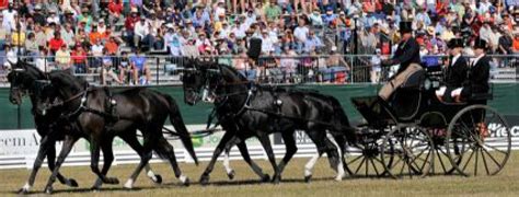 World Equestrian Games Carriage Driving Short List Announced