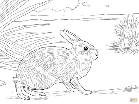 Coloring Pages Of Rabbits To Print Printable Rabbit Coloring Pages