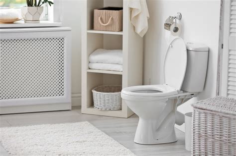 New Toilet How Much Does It Cost And How To Choose One