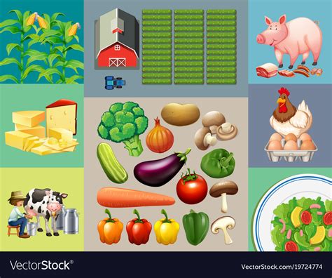 Different Types Of Food Products In The Farm Vector Image
