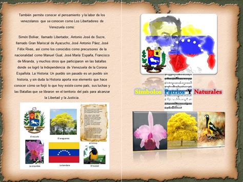 Triptico De Simbolos Patrios Y Naturales De Venezuela Simbolos Images