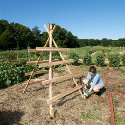 Squash Tower Holds 6 7 Plants Garden Veggies Garden Yard Ideas