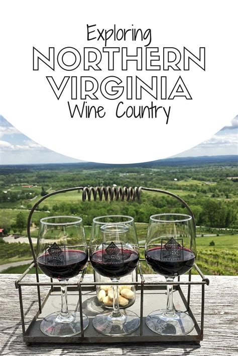 Northern Virginia Wine Tasting Quattro Goomba Winery And Cana Vineyards