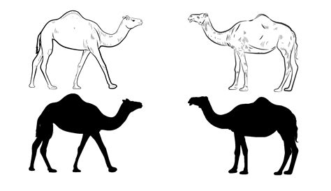 Camel Silhouette Vector Art Icons And Graphics For Free Download