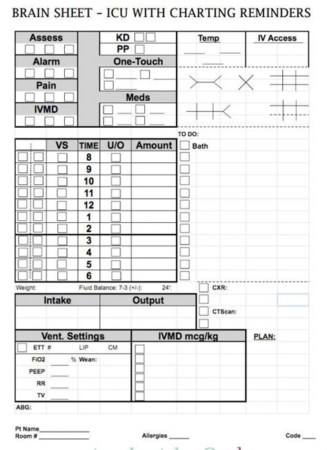 Vital signs, medication times, assessment notes, labs, patient. Nurse Brain Sheets - ICU with charting reminders | Nursing ...