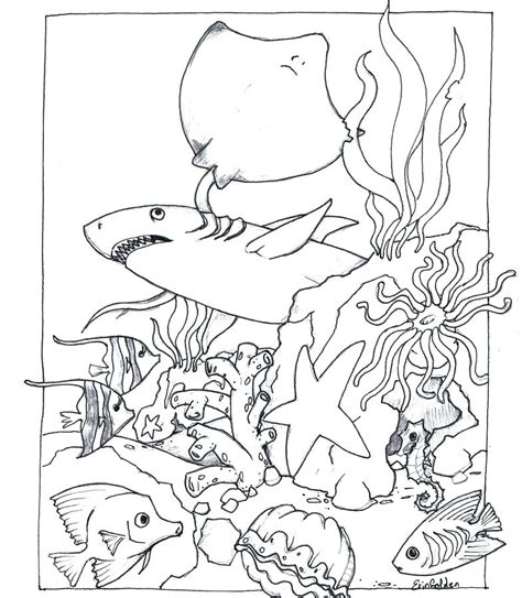 Ocean Habitat Coloring Pages Sea Animals For Kids Grig3org Sketch
