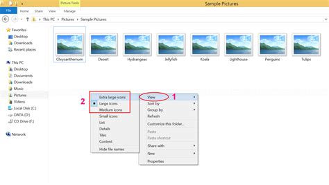 Solved Thumbnail Previews Do Not Show On Windows Explorer