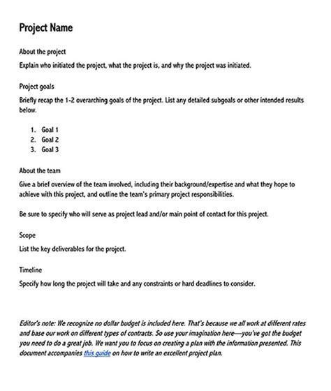 Project Brief Examples And Templates Word Pdf