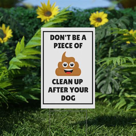 How To Clean Up Dog Poop In A Yard