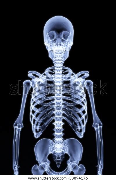 Human Skeleton Under Xrays 3d Render Stock Illustration 53894176