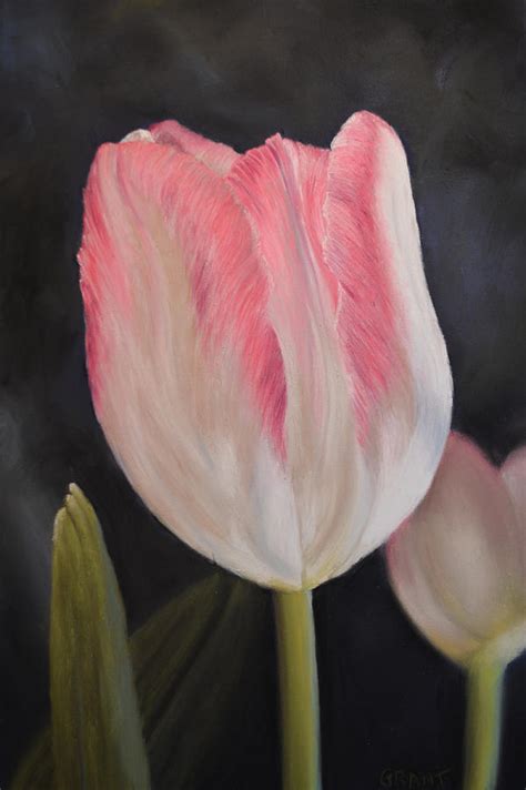 Pink Tulip Painting By Joanne Grant Fine Art America