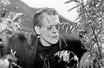 Frankenstein (1931) - Turner Classic Movies