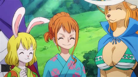 Carrot Nami And Wanda One Piece Ep 959 By Berg Anime On Deviantart One Piece Ep Anime One