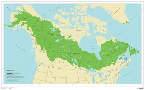 Boreal Zone Map Of North America North America Map Biomes