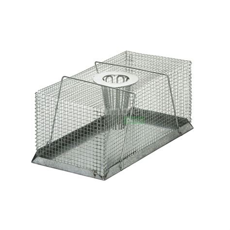 Agboss Live Multi Catch Rat Trap Large 300110 The Grit