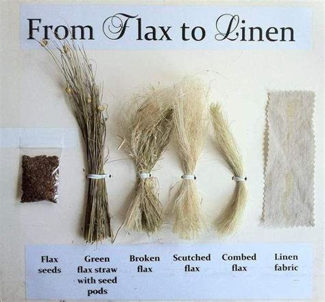 Linen Fabric Is Made Of Linen Threads Linen Threads Are Spun Of Flax