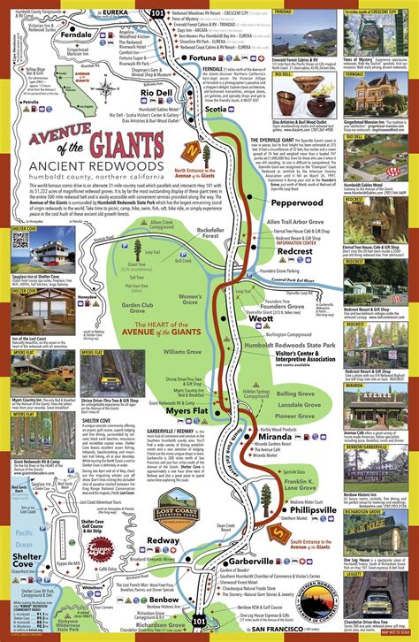 Avenue Of The Giants Map California Travel Road Trips Northern