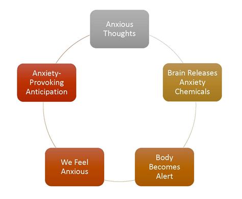 Anxiety Cycle New History
