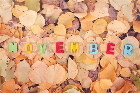 Colorful Word November On A Leaves Stock Image Colourbox