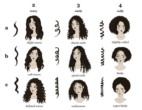 Types Of Curls Hair Chart Hair Type Chart