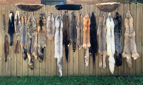 Home Fur Pelts