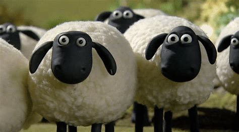 Oooooooo Shaun The Sheep Aardman Animations Sheep Art In