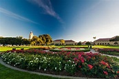 Visit Palo Alto: 2021 Travel Guide for Palo Alto, California | Expedia