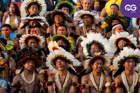 os povos indígenas e sua importância na história do brasil blog do qg 88992 hot sex picture