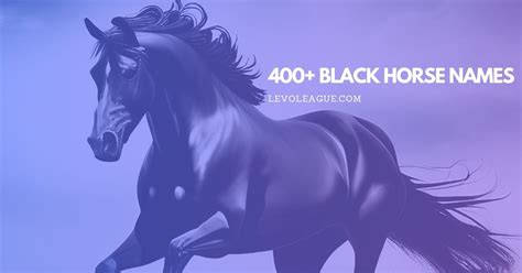 400 Black Horse Names A Comprehensive Guide For Your Dark Beauty