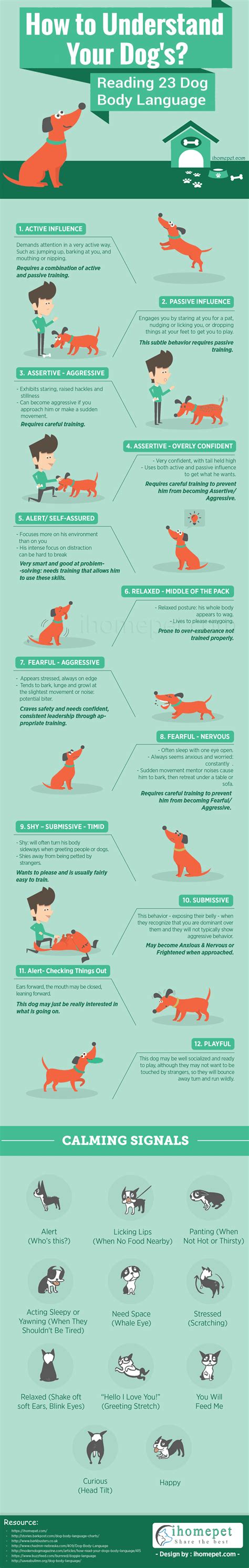 Understand Dog Body Language Cues From Panting And Shaking To Sniffing