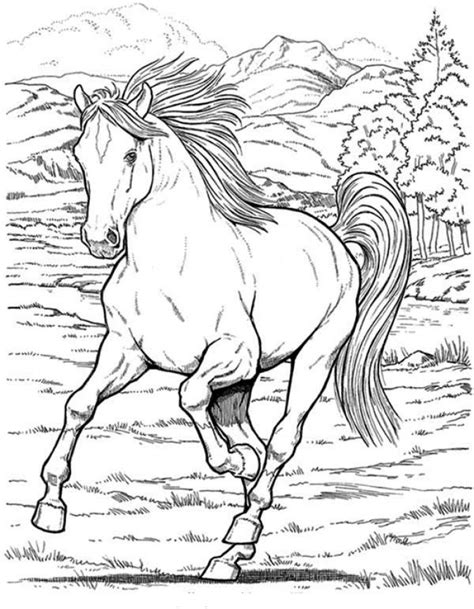 Free Realistic Wild Horse Coloring Pages To Print
