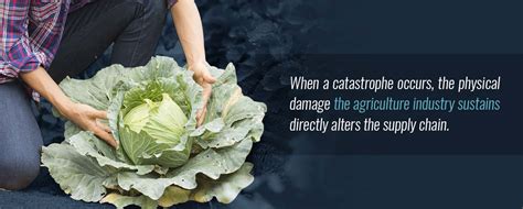 How Natural Disasters Can Impact Food Quality And Food Safety