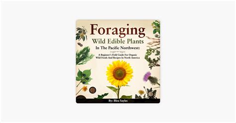 ‎foraging Wild Edible Plants In The Pacific Northwest A Beginners