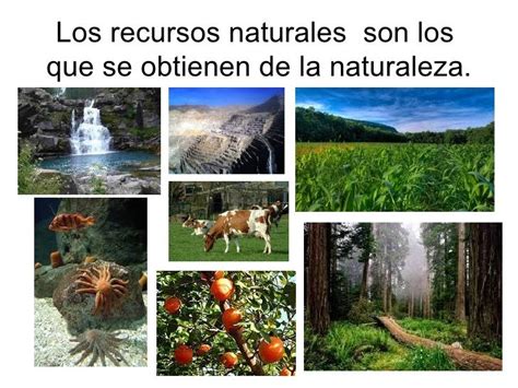 Recursos Naturales Activities For Kids Nature Madera