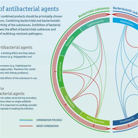 Infographic About The Mechanisms Of Antibiotic Resistance In Bacteria