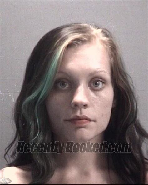 recent booking mugshot for jessie louise porter in new hanover county north carolina